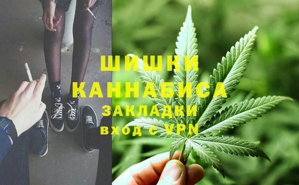 ПСИЛОЦИБИНОВЫЕ ГРИБЫ Навашино