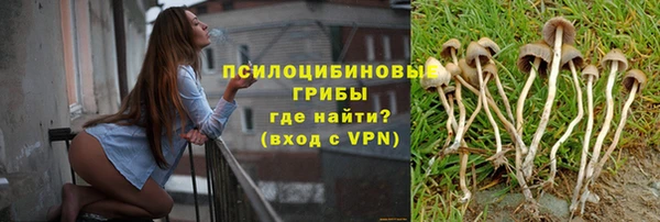 хмурый Наволоки