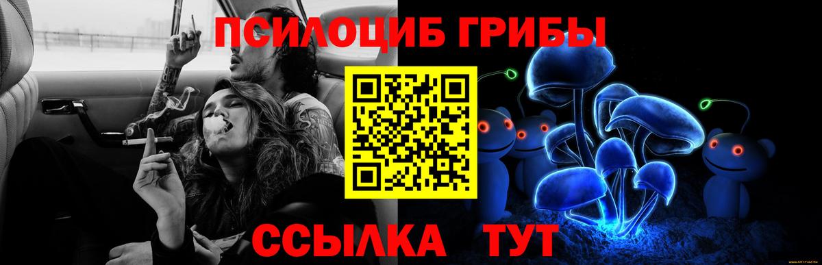 Галлюциногенные грибы прущие грибы Набережные Челны